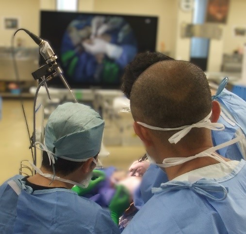 イラスト手術手技のコツ 耳鼻咽喉科・頭頸部外科 《耳・鼻編》 改訂第2版 イラスト手術手技のコツ 耳鼻咽喉科・頭頸部外科 《耳・鼻編》